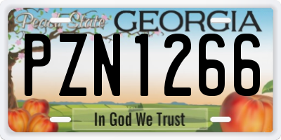 GA license plate PZN1266