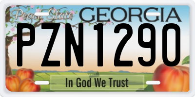 GA license plate PZN1290