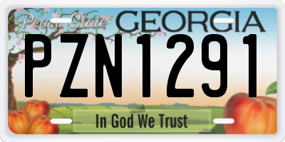 GA license plate PZN1291