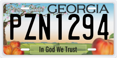 GA license plate PZN1294