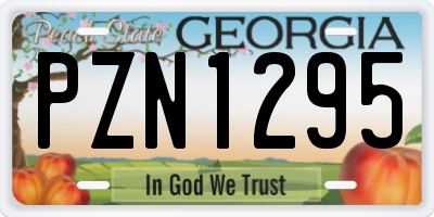 GA license plate PZN1295