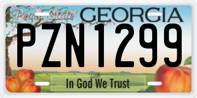 GA license plate PZN1299