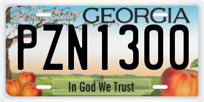 GA license plate PZN1300