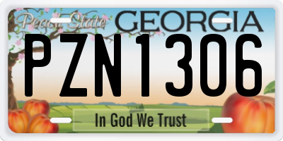 GA license plate PZN1306