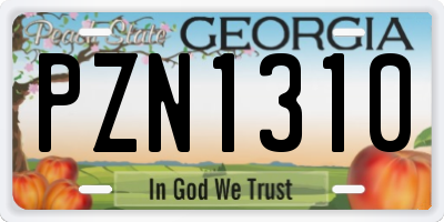 GA license plate PZN1310