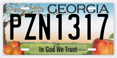 GA license plate PZN1317