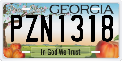 GA license plate PZN1318