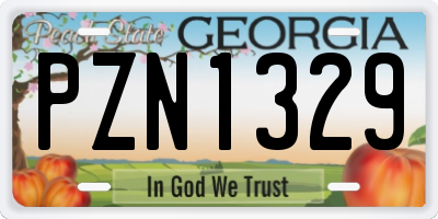 GA license plate PZN1329