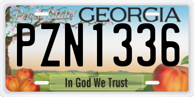 GA license plate PZN1336