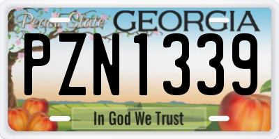 GA license plate PZN1339