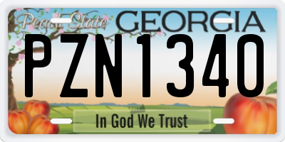 GA license plate PZN1340