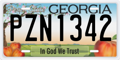 GA license plate PZN1342