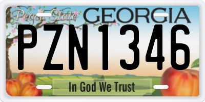 GA license plate PZN1346