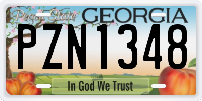 GA license plate PZN1348