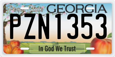 GA license plate PZN1353