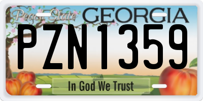 GA license plate PZN1359