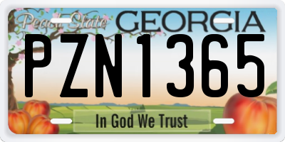 GA license plate PZN1365