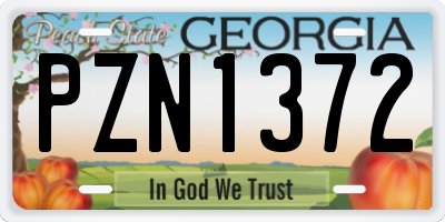 GA license plate PZN1372