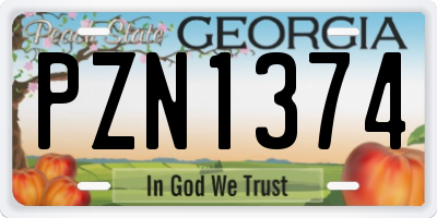 GA license plate PZN1374