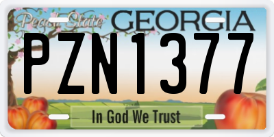 GA license plate PZN1377