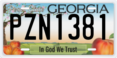 GA license plate PZN1381