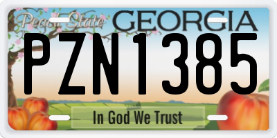 GA license plate PZN1385