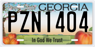 GA license plate PZN1404