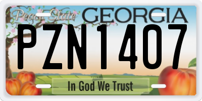 GA license plate PZN1407