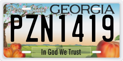 GA license plate PZN1419