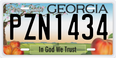 GA license plate PZN1434