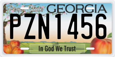 GA license plate PZN1456