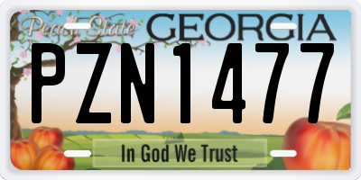 GA license plate PZN1477