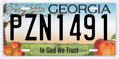 GA license plate PZN1491