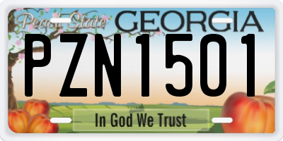 GA license plate PZN1501