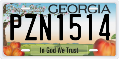GA license plate PZN1514