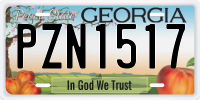 GA license plate PZN1517