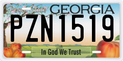 GA license plate PZN1519