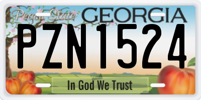 GA license plate PZN1524