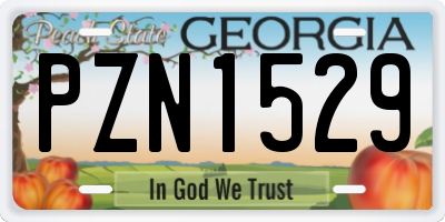 GA license plate PZN1529