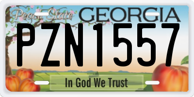 GA license plate PZN1557