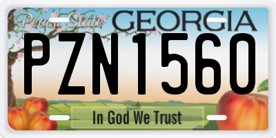 GA license plate PZN1560