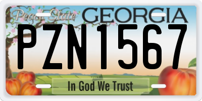 GA license plate PZN1567