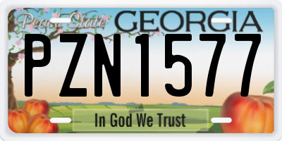 GA license plate PZN1577