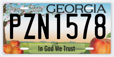 GA license plate PZN1578