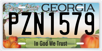 GA license plate PZN1579