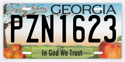 GA license plate PZN1623