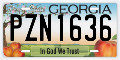 GA license plate PZN1636