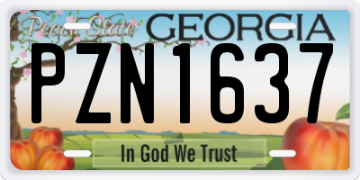 GA license plate PZN1637