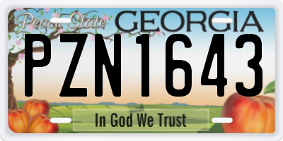 GA license plate PZN1643