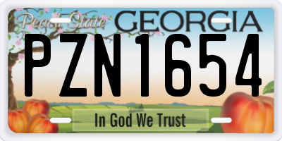 GA license plate PZN1654